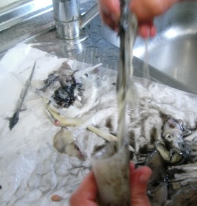 Como se limpian los chipirones